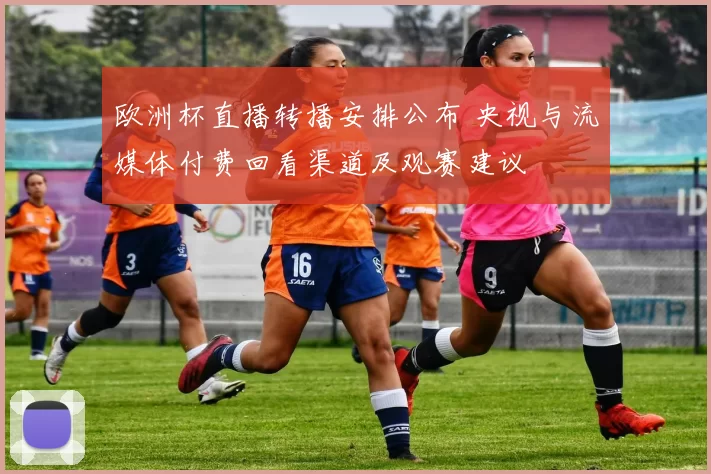 欧洲杯直播转播安排公布 央视与流媒体付费回看渠道及观赛建议